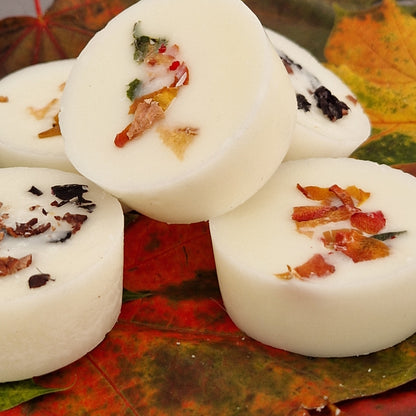 AUTUMN WAX MELTS