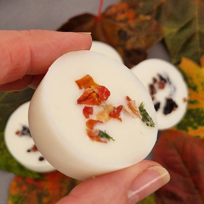 AUTUMN WAX MELTS