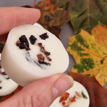 AUTUMN WAX MELTS