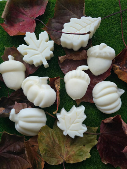 AUTUMN WAX MELTS